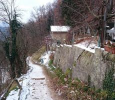 ali je kakšna trgovina v bližini?